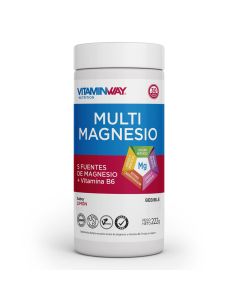 MULTI MAGNESIO BEBIBLE FRASCO X 220g